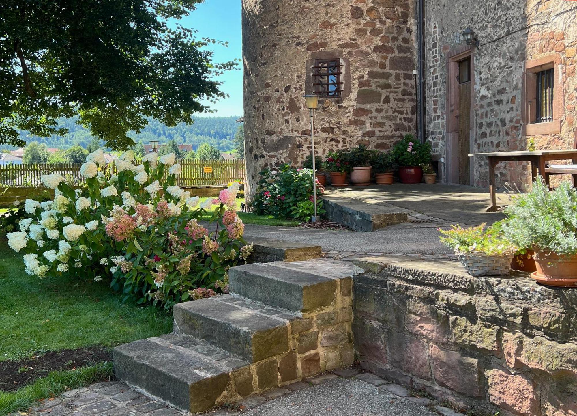 Graefin Anna - Design-Apartment In Der Historischen Hinterburg Schlitz - Nahe Fulda Und Bad Hersfeld Kültér fotó