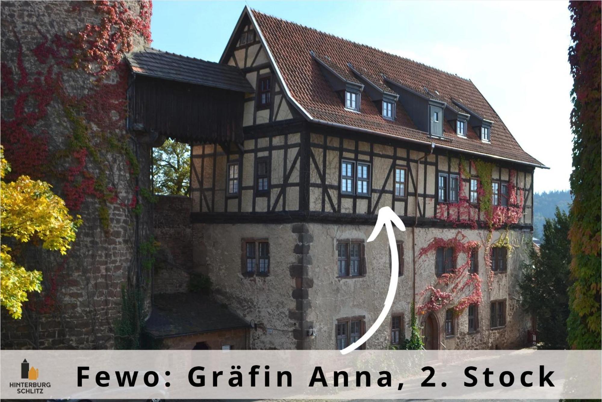 Graefin Anna - Design-Apartment In Der Historischen Hinterburg Schlitz - Nahe Fulda Und Bad Hersfeld Kültér fotó